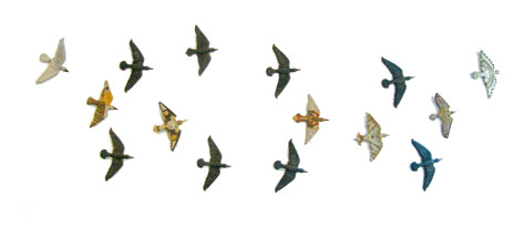 Bird Series